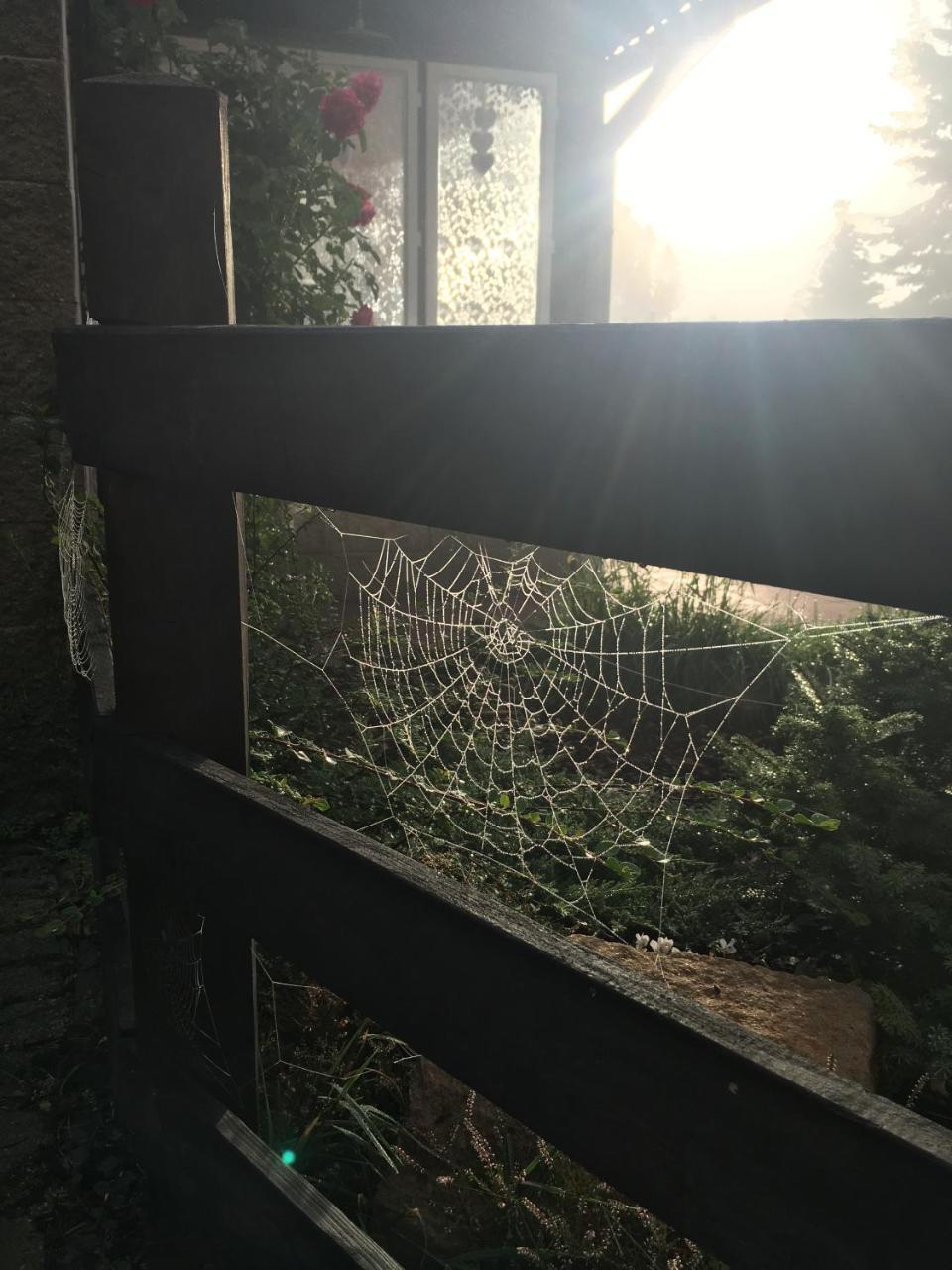 Hotel Ubytovani Doma Tisá Zewnętrze zdjęcie